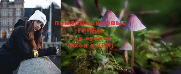 мяу мяу мука Богданович
