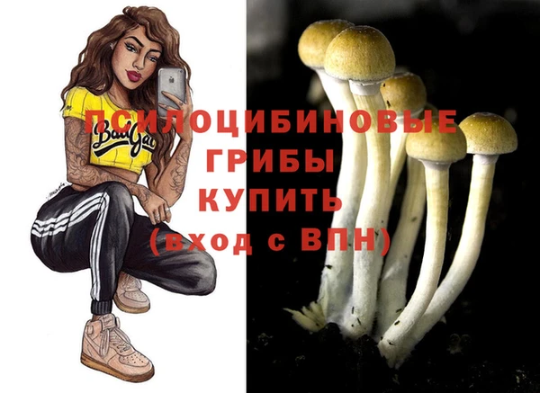 гидропоника Богородицк